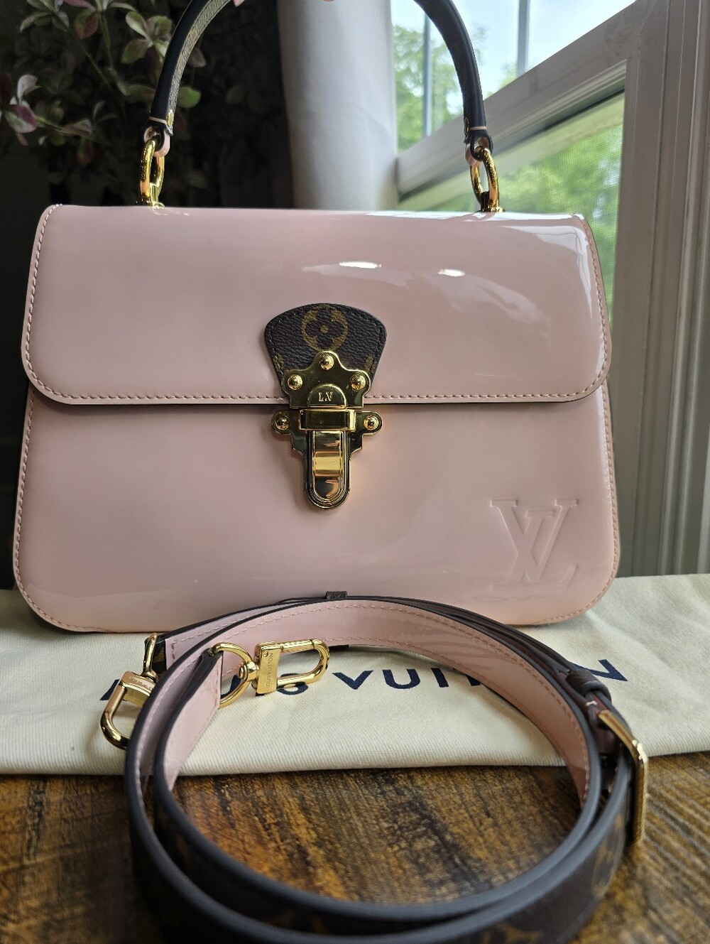 Louis Vuitton Cherrywood Vernis Leather Crossbody Bag (2019)